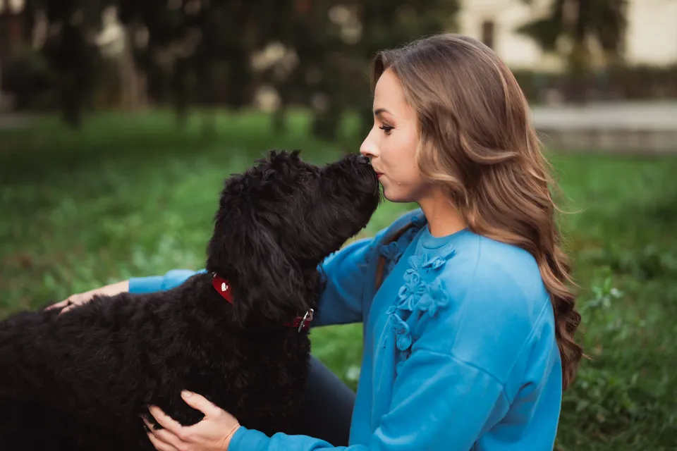 Produktová fotografie Pets Bye – zákulisí focení