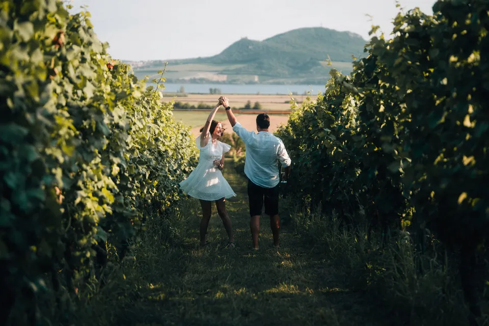 Promo fotografie Vinařství SONBERK – fotografie 9